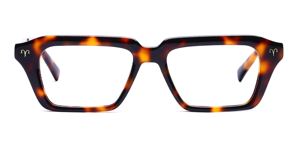 Brown_Demi_with_Gold