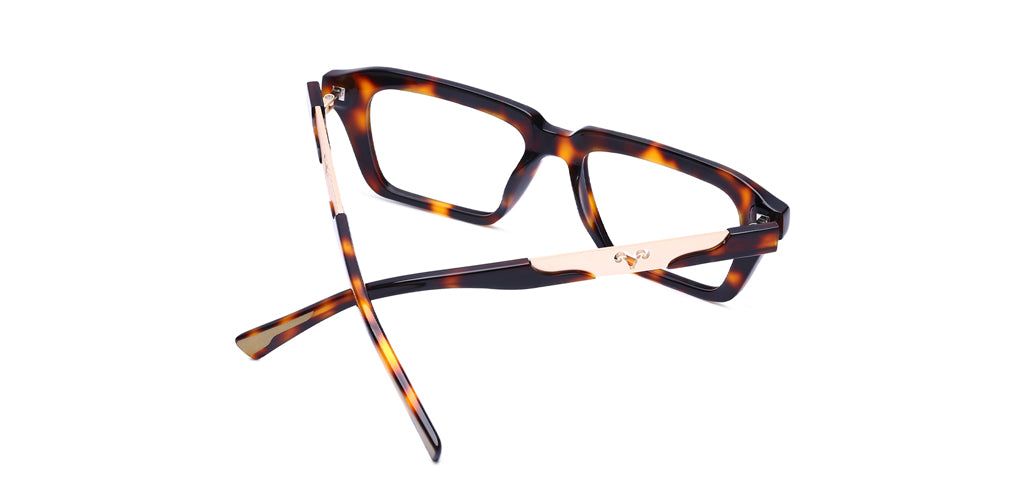 Brown_Demi_with_Gold