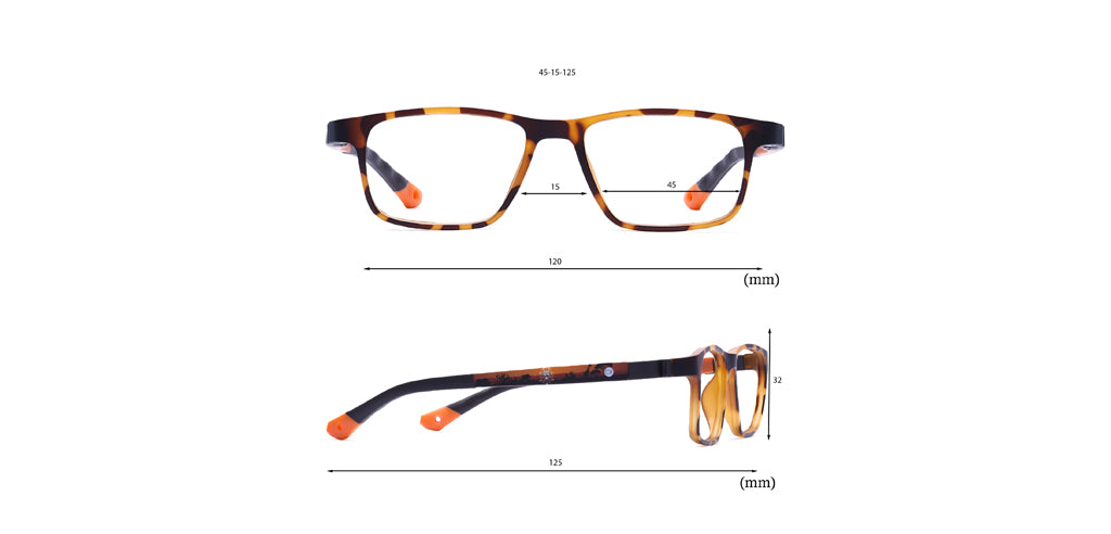 Brown_Demi_with_Orange