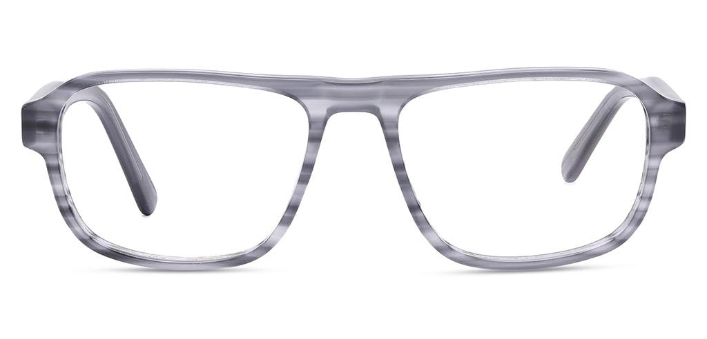 Grey_Tortise_With_Grey