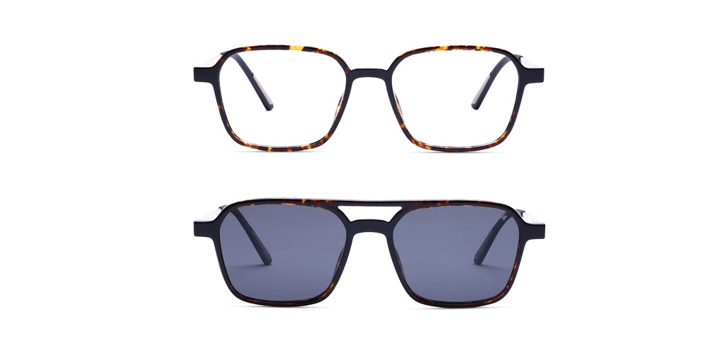 Brown_Demi_with_Gold