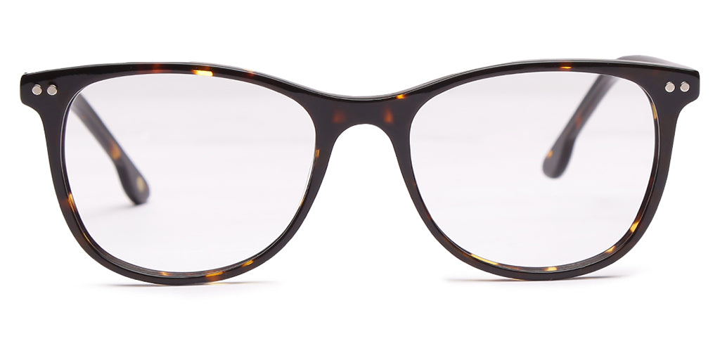 Glossy_Brown_With_Tortoise