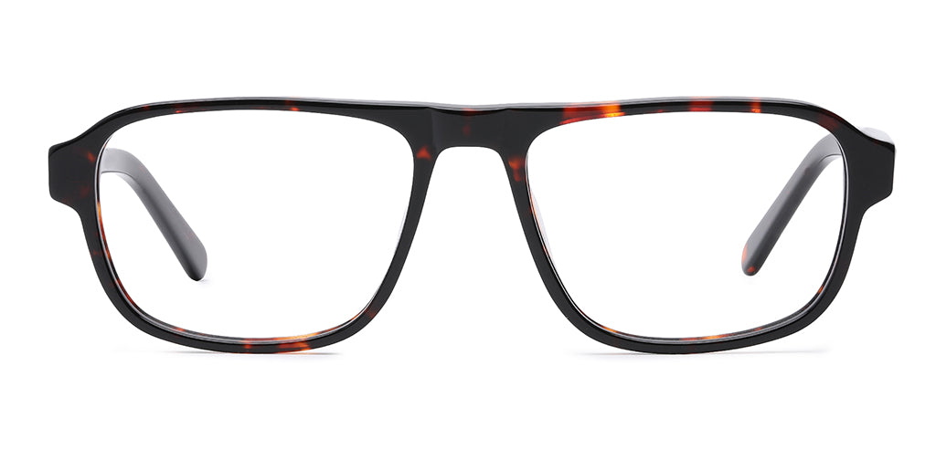 Brown_Tortise_With_Tortise