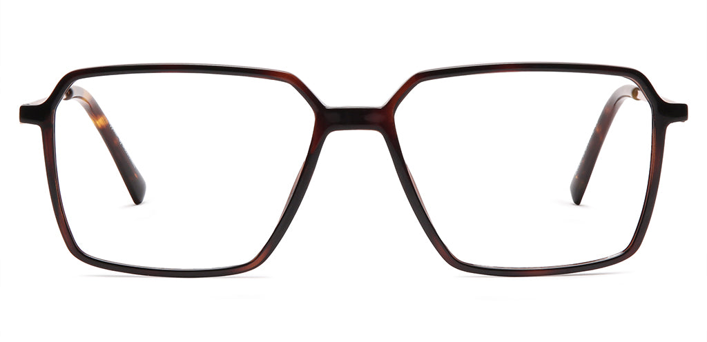 Glossy_Brown_with_Gold