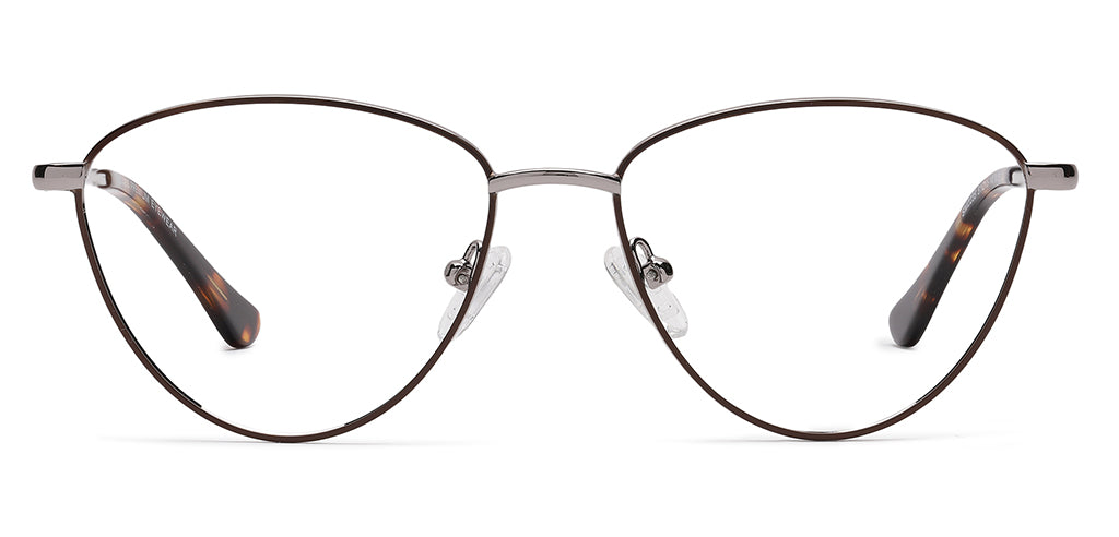 Brown_Matte_with_Silver