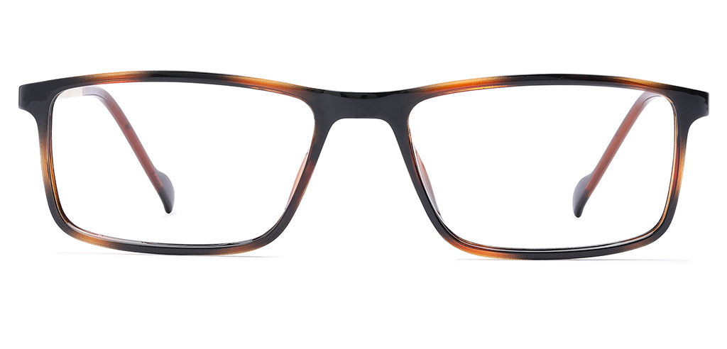 Brown_Demi_with_Gold