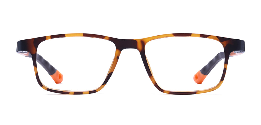 Brown_Demi_with_Orange