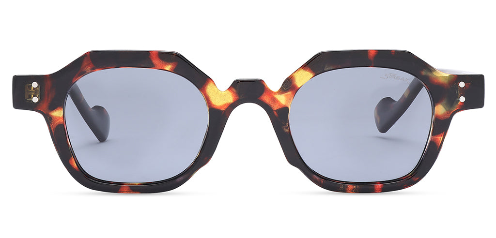 Brown_Demi_with_Grey_Lens