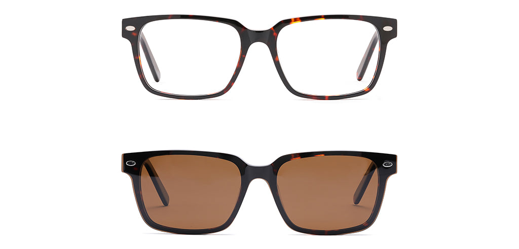 Brown_Demi_with_Demi