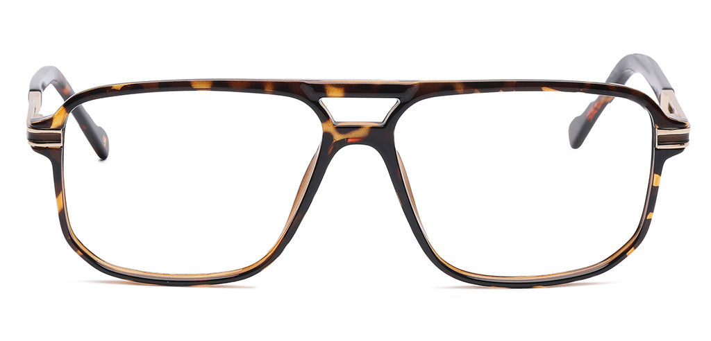 Brown_Tortise_With_Gold