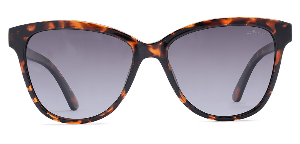 Brown_Demi_with_Grey_Lens