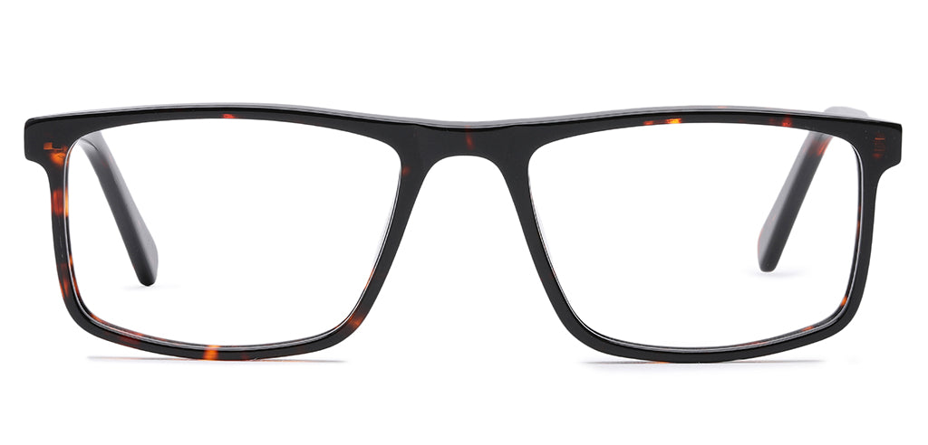 Brown_Tortise_With_Tortise