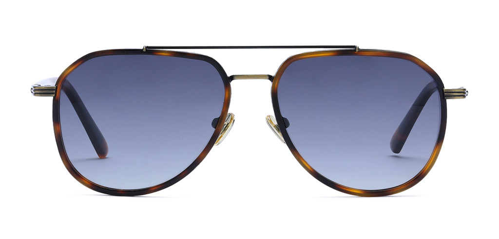 Brown_Demi_with_Grey_Lens