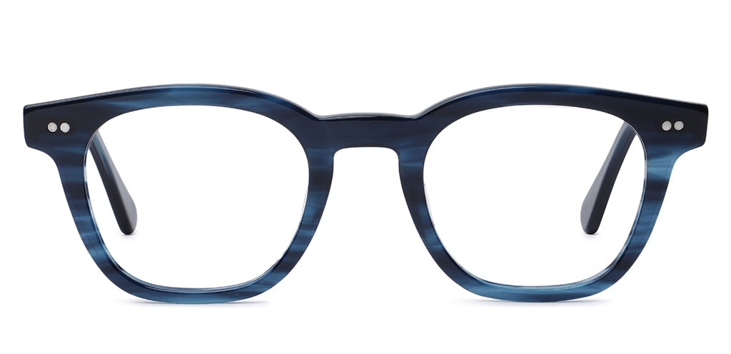 Blue_Tortoise_with_Blue