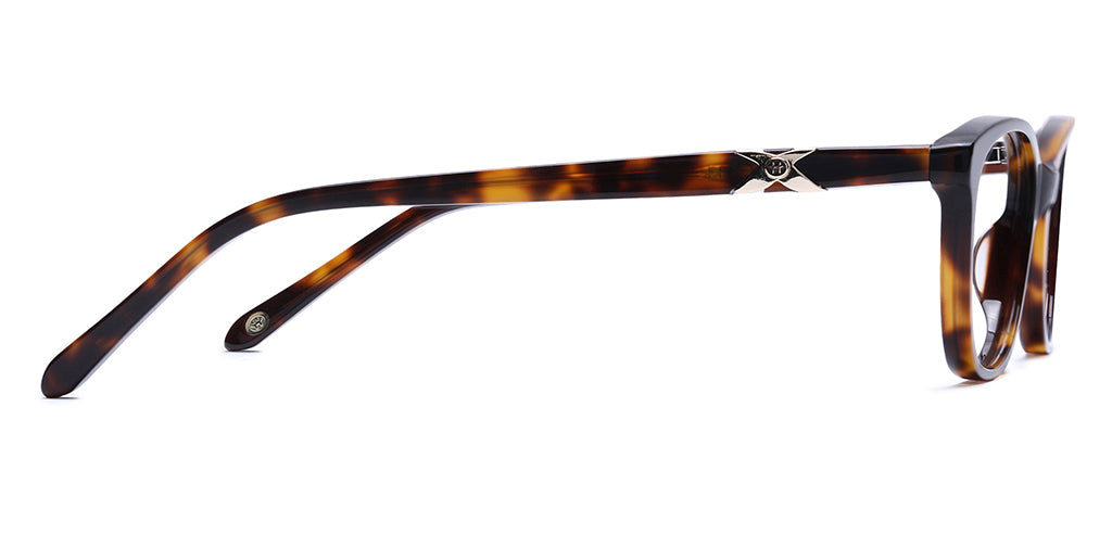 Brown_Demi_with_Demi