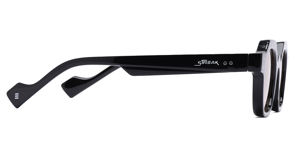 Black_with_Brown_Lens