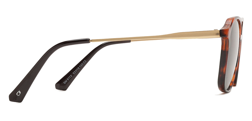 Brown_Demi_with_Green_Lens