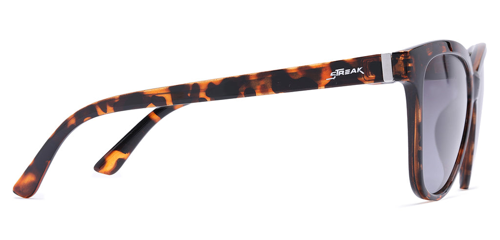 Brown_Demi_with_Grey_Lens