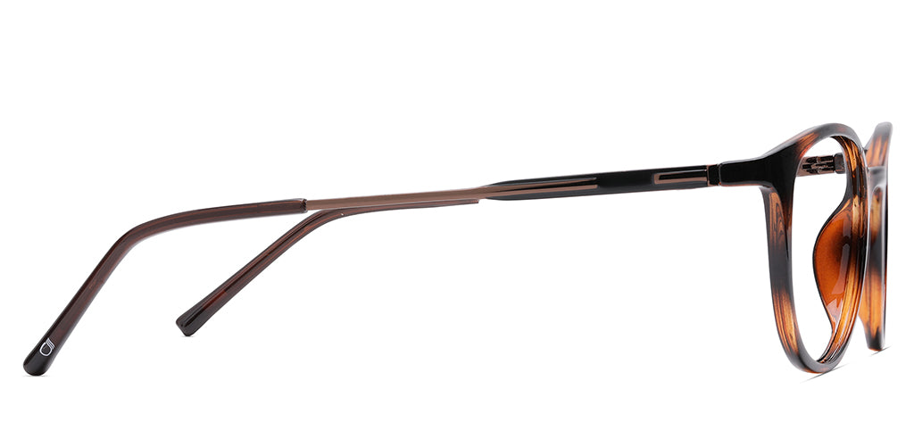 Brown_Tortoise_With_Brown