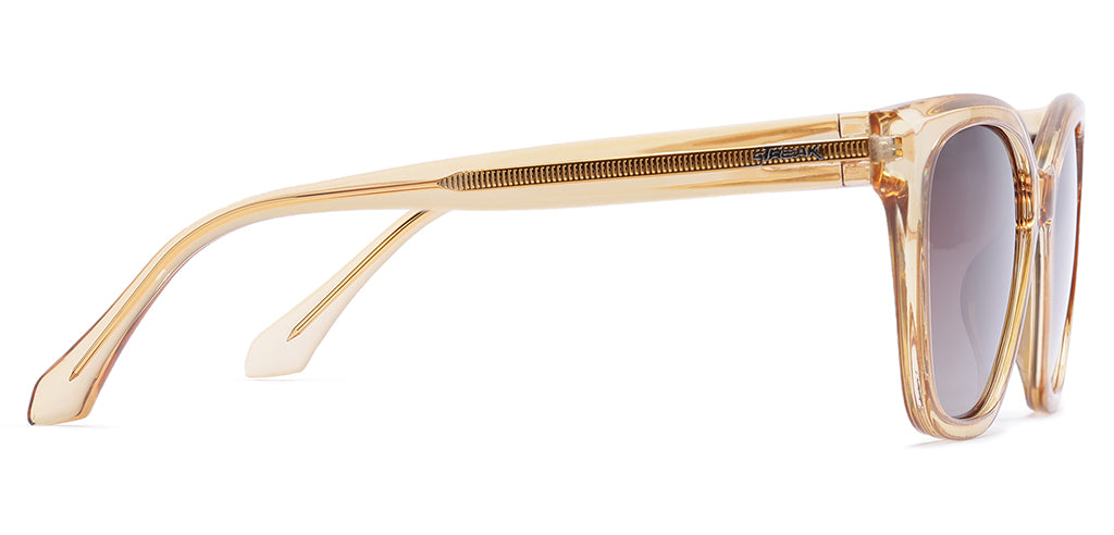 Brown_Transparent_with_Brown_Lens