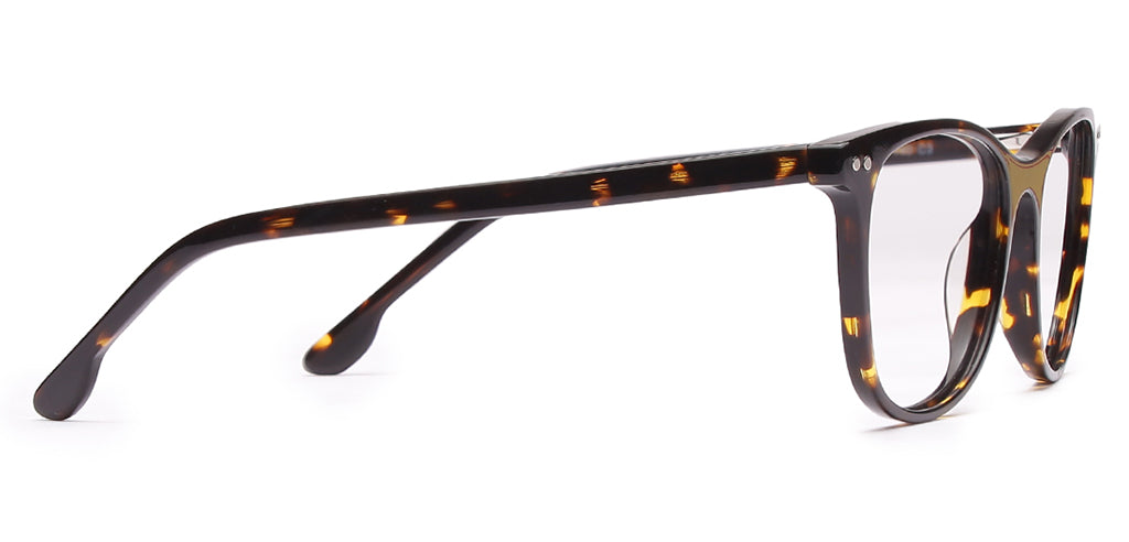 Glossy_Brown_With_Tortoise