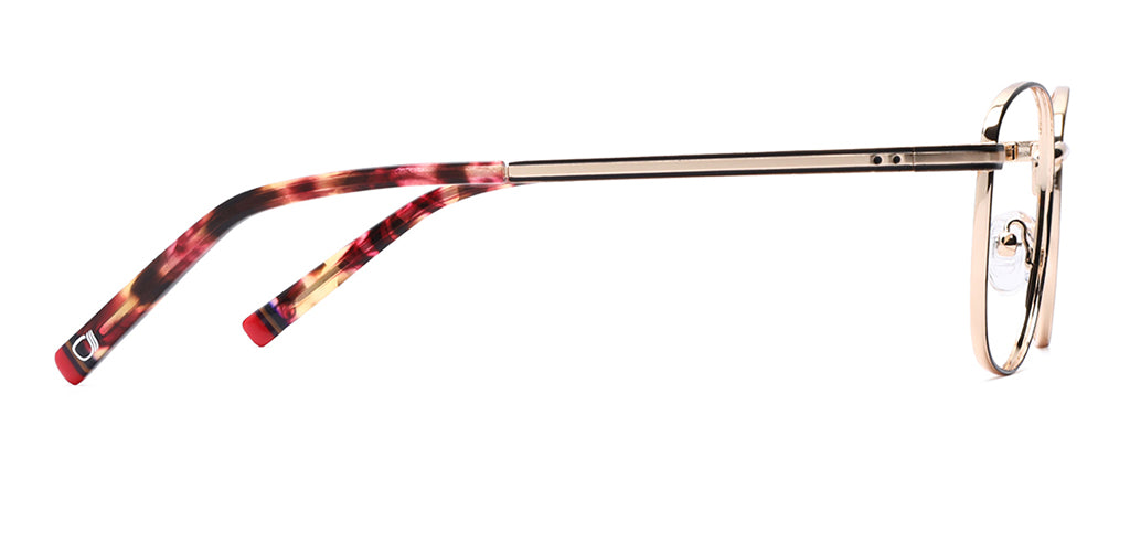 Brown_Matte_with_Gold