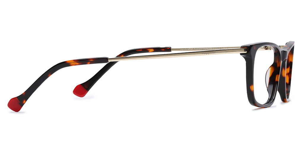 Brown_Tortise_With_Gold