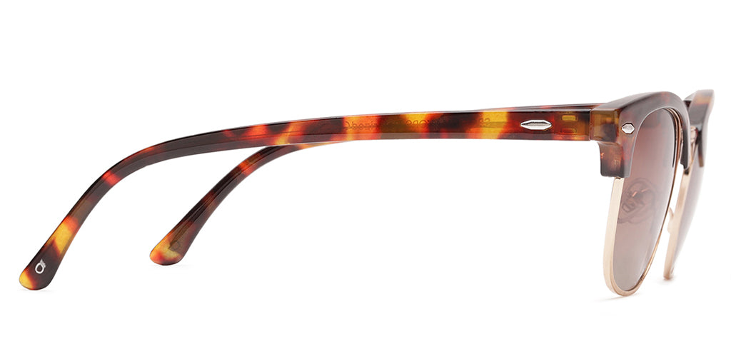 Brown_Demi_with_Brown_Lens