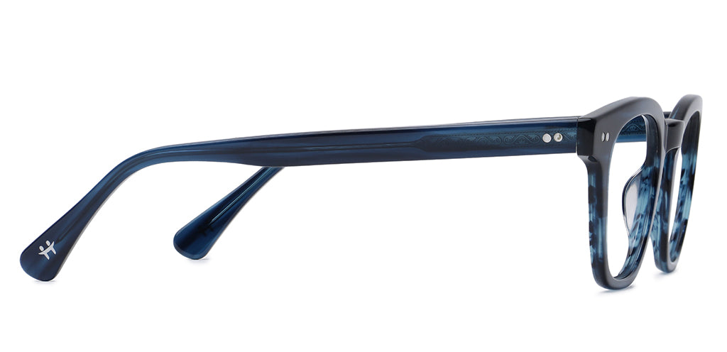 Blue_Tortoise_with_Blue