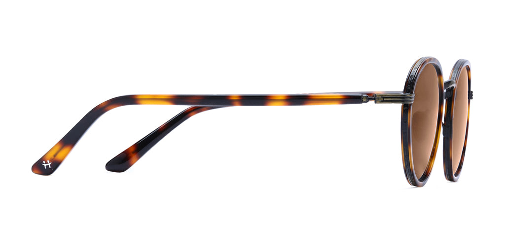 Brown_Demi_with_Brown_Lens