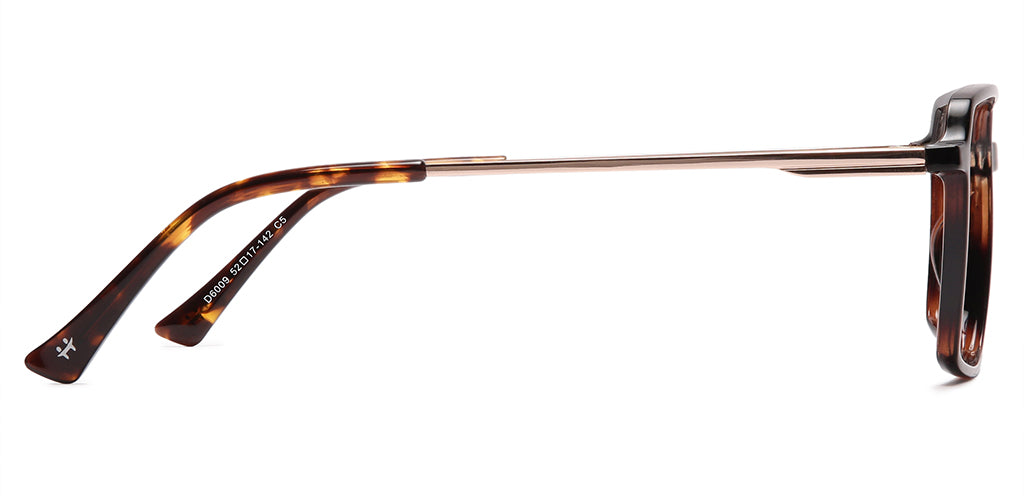 Glossy_Brown_with_Gold