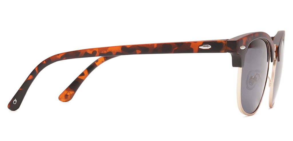 Brown_Demi_with_Grey_Lens