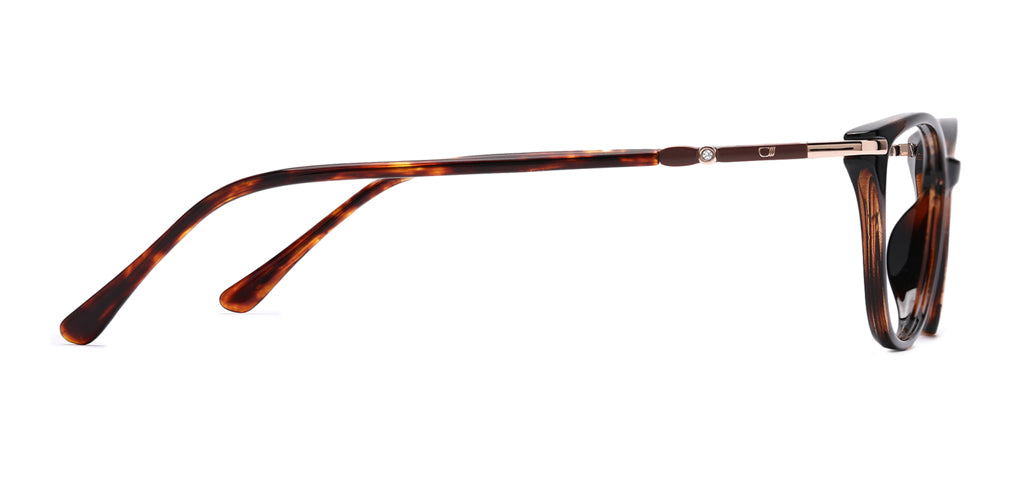 Brown_Demi_with_Gold