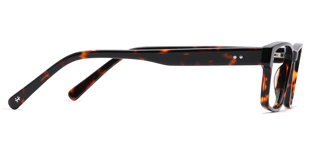 Brown_Tortise_With_Tortise