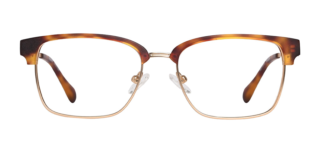 Brown_Demi_with_Gold