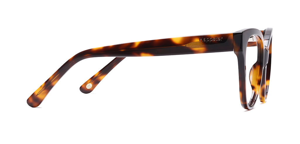 Brown_Demi_with_Demi