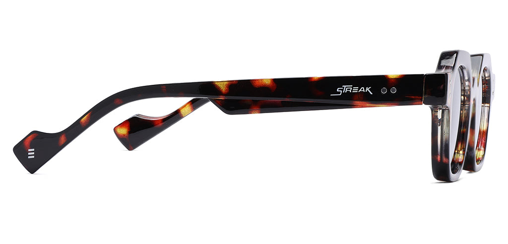 Brown_Demi_with_Grey_Lens