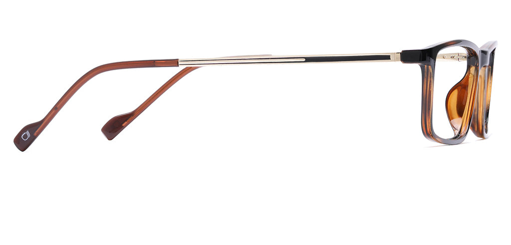 Brown_Demi_with_Gold