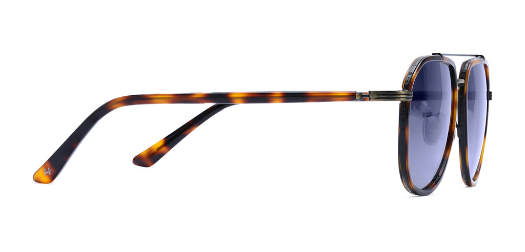 Brown_Demi_with_Grey_Lens