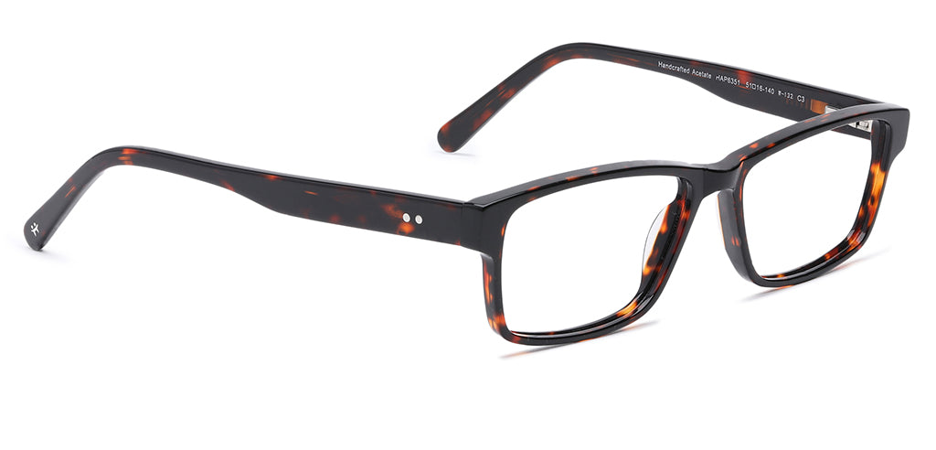 Brown_Tortise_With_Tortise