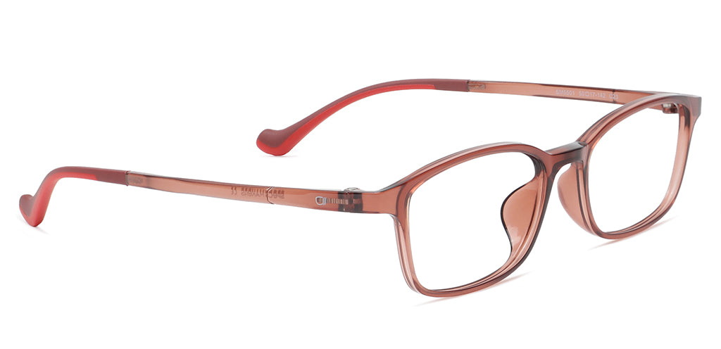 Glossy_Brown_with_Red