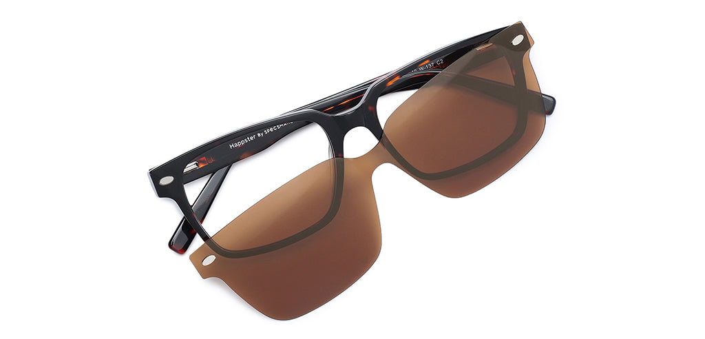 Brown_Demi_with_Demi