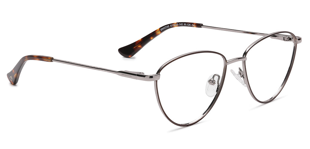 Brown_Matte_with_Silver