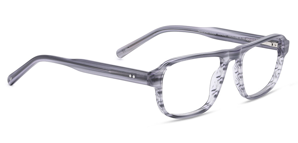 Grey_Tortise_With_Grey