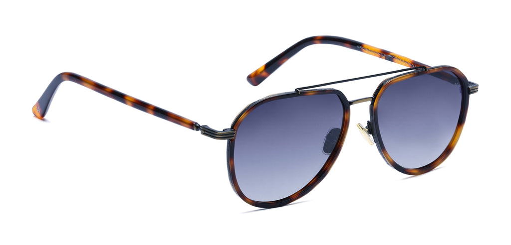 Brown_Demi_with_Grey_Lens