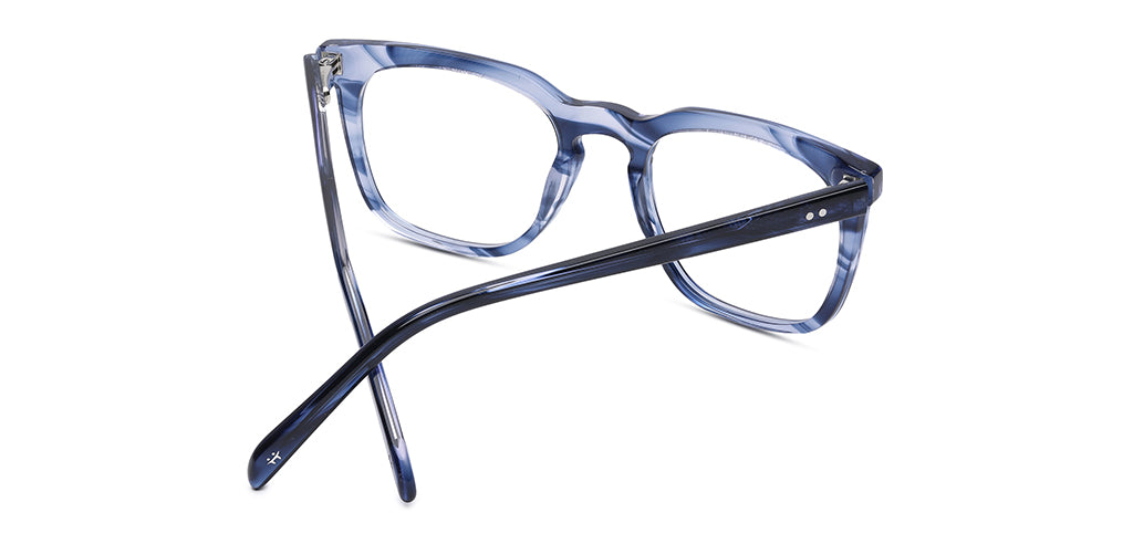 Blue_Tortise_With_Blue