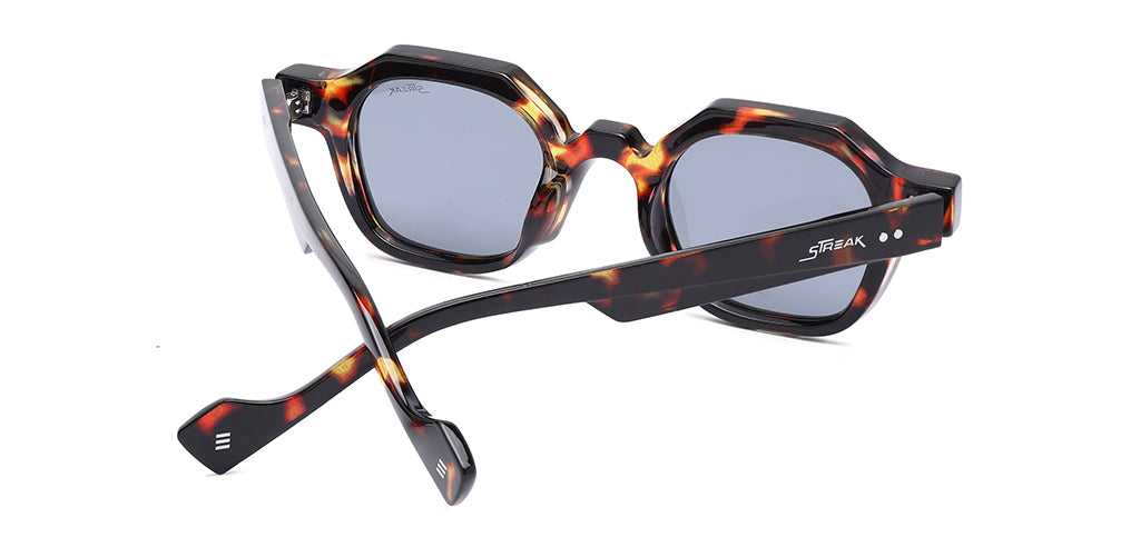 Brown_Demi_with_Grey_Lens