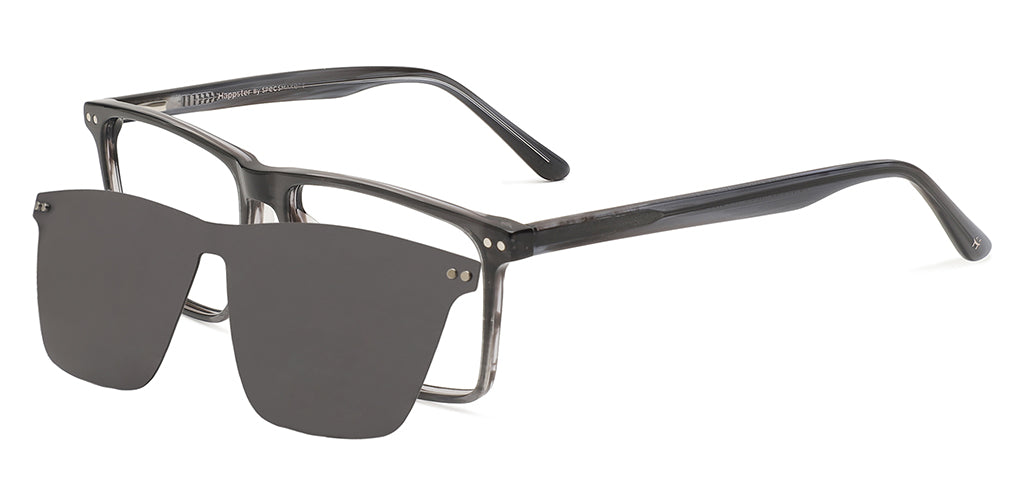 Grey_tortoise_with_grey