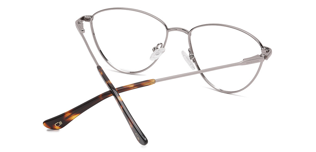 Brown_Matte_with_Silver