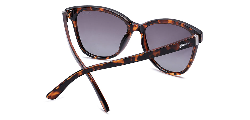 Brown_Demi_with_Grey_Lens